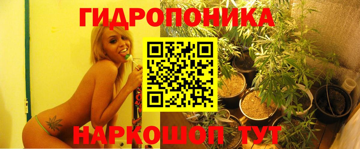 Дубна  Марихуана OG Kush  МАРИХУАНА OG Kush  Марихуана марихуана  Вход с VPN 